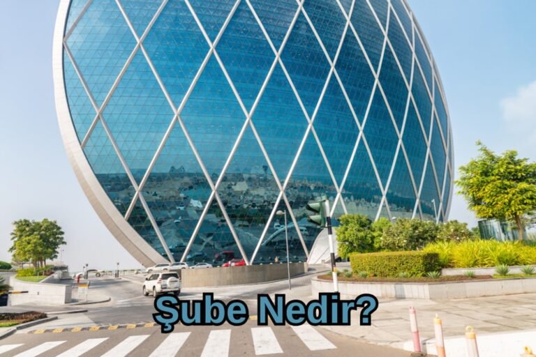 Şube Nedir?