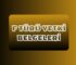 F TÜRÜ YETKİ BELGELERİ