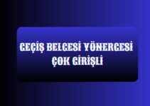 GEÇİŞ BELGESİ YÖNERGESİ ÇOK GİRİŞLİ GEÇİŞ BELGESİ YÖNERGESİ ÇOK GİRİŞLİ