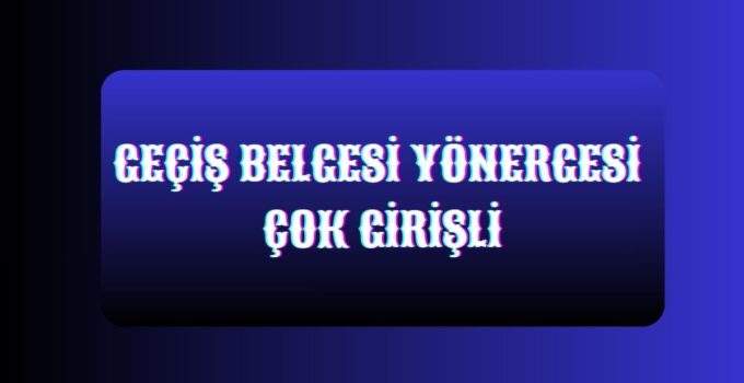 GEÇİŞ BELGESİ YÖNERGESİ ÇOK GİRİŞLİ