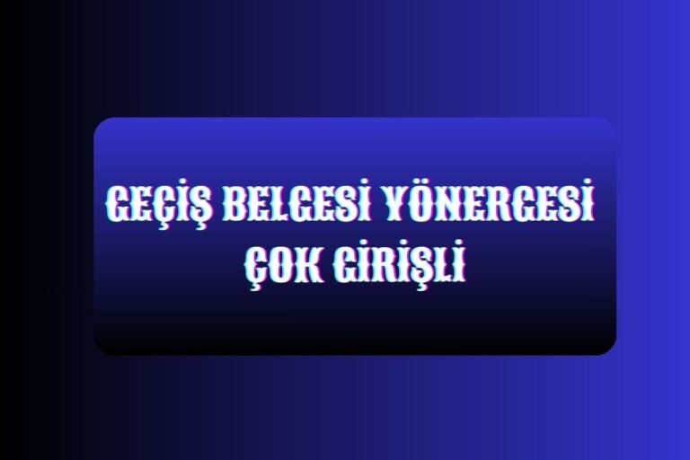 GEÇİŞ BELGESİ YÖNERGESİ ÇOK GİRİŞLİ