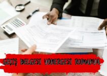 GEÇİŞ BELGESİ YÖNERGESİ ROMANYA