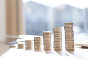 İdari Para Cezaları Nedir