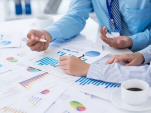 Mali Yeterlilik Nedir