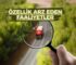 ÖZELLİK ARZ EDEN FAALİYETLER