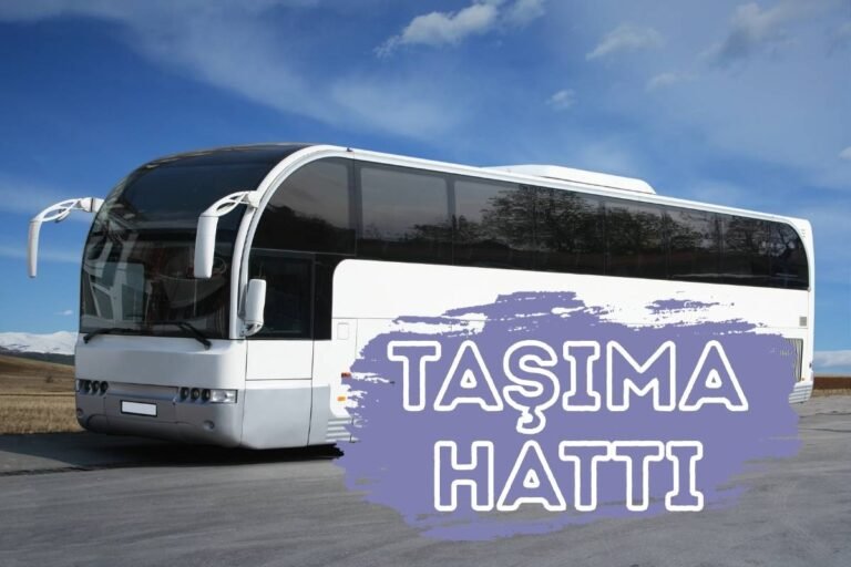 TAŞIMA HATTI