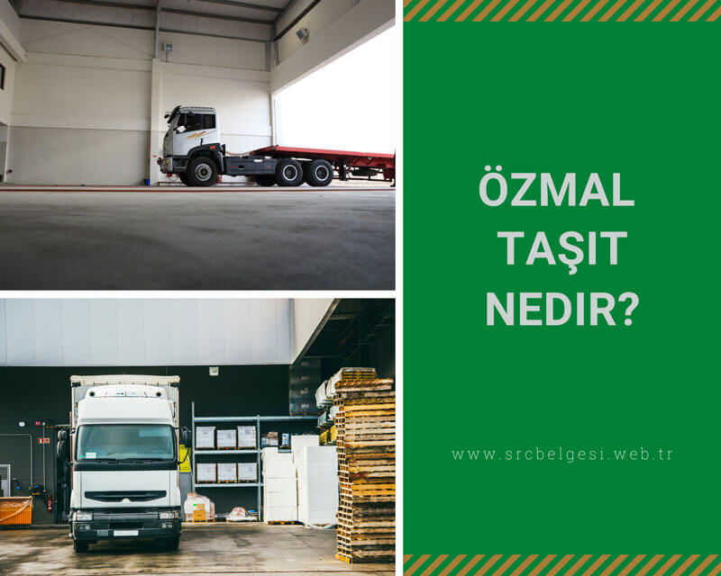 Özmal Taşıt Nedir?