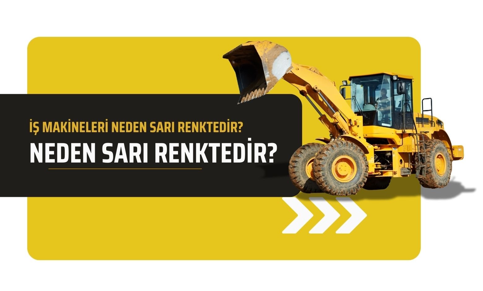 Neden Sarı Renktedir?